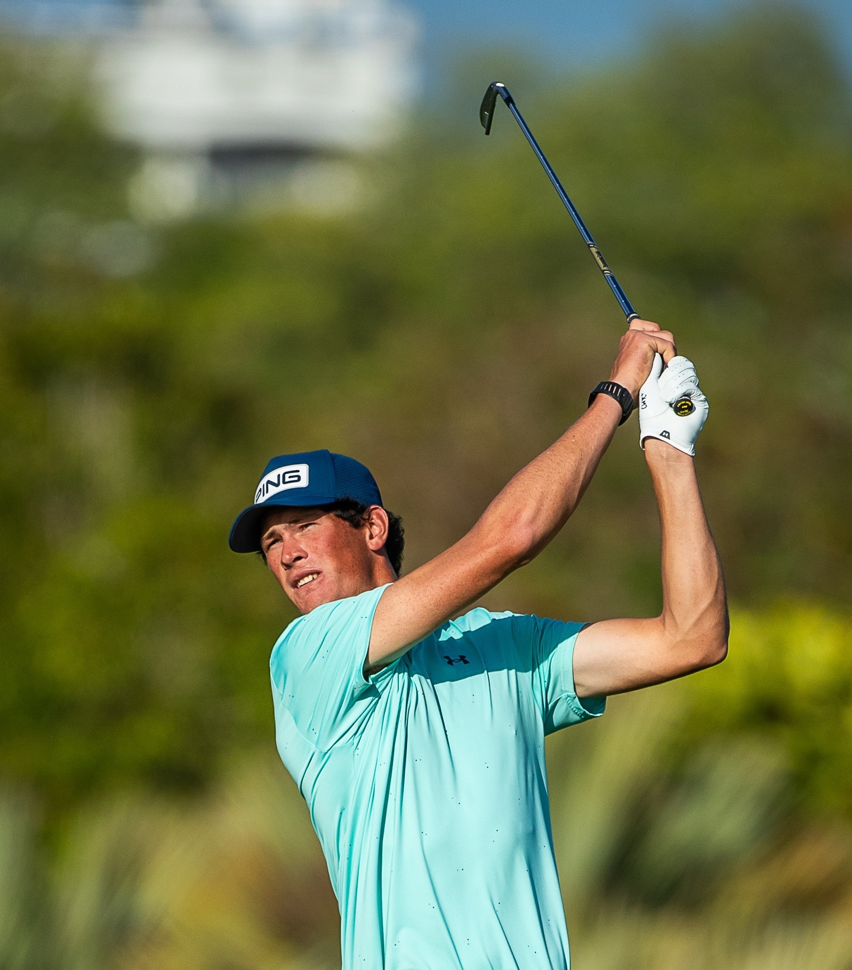 ngc-christo-lamprecht